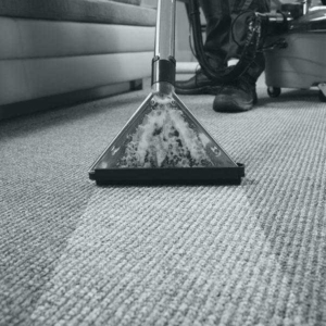 carpet janitor cleaning service