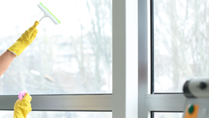 Window Cleaning Services