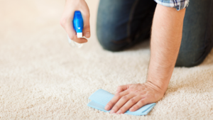 Carpet Cleaning Services