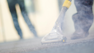 Carpet Cleaning Near Me