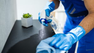 Professional Cleaning Service Chicago