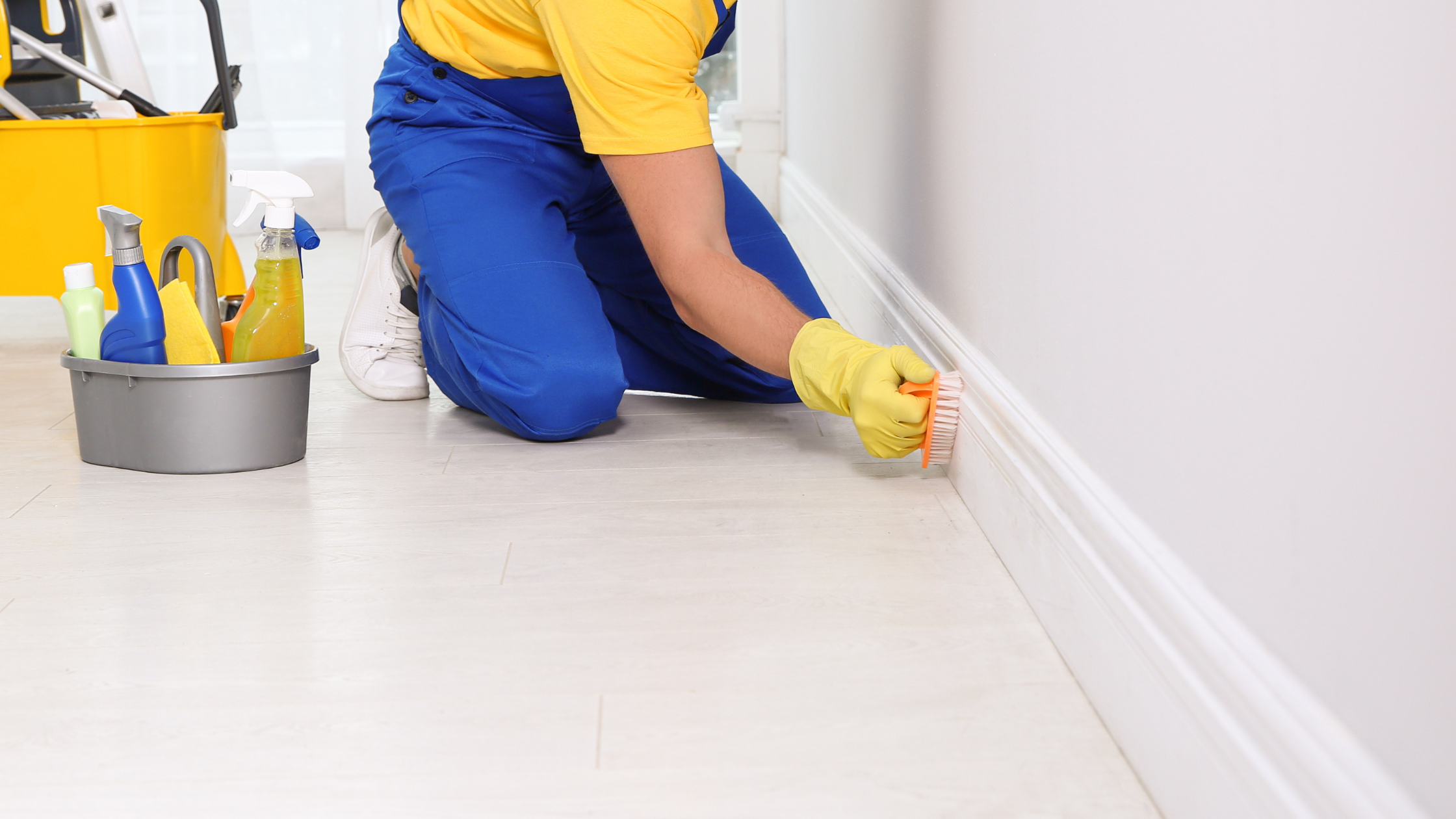 Professional Cleaning Services in Chicago