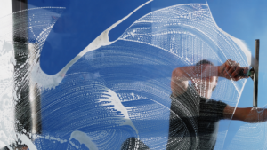 Professional Window Cleaning Services