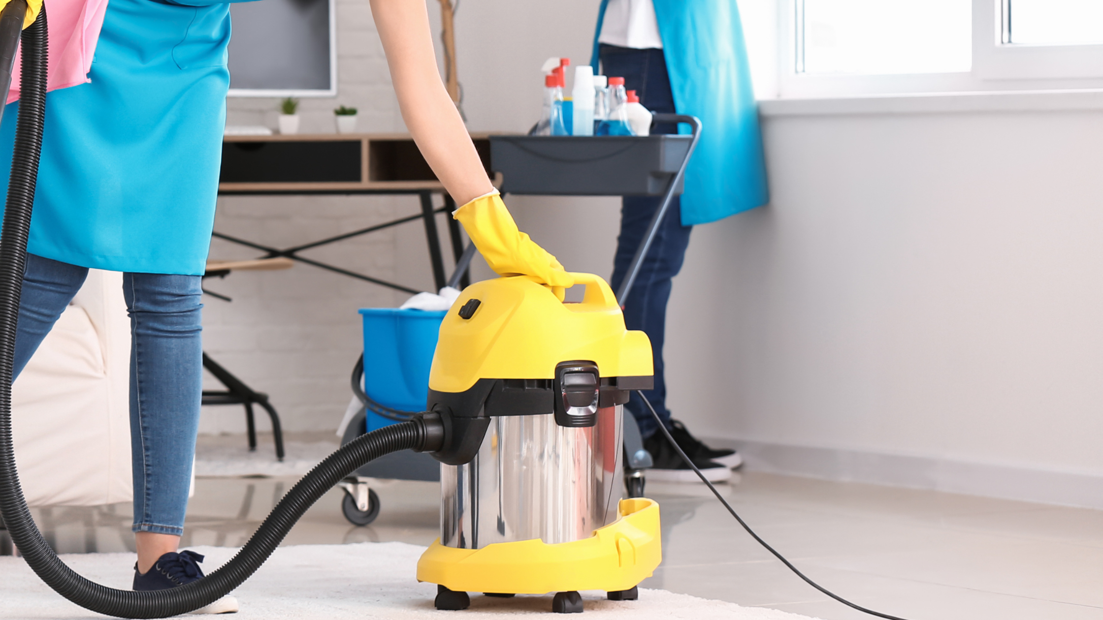 Professional Cleaning Services Chicago