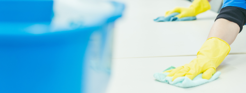 Professional Janitorial Services