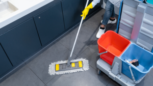 Professional Cleaning Company