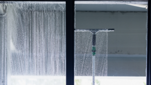 Professional Window Cleaning