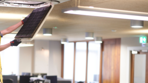 Office Maintenance Services