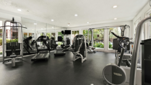 Professional Cleaning For Gyms