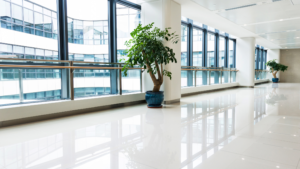 Window Cleaning Services for Chicago Businesses