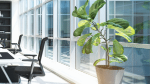  Bright, modern office space with large windows and natural light.