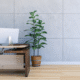 Minimalist office with a clean desk, natural light, and a healthy plant near the workstation.