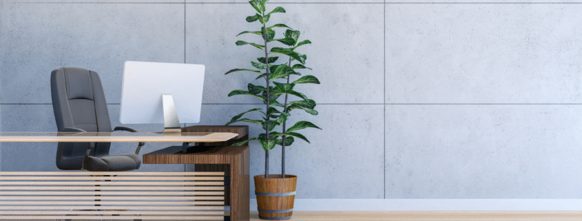 Minimalist office with a clean desk, natural light, and a healthy plant near the workstation.