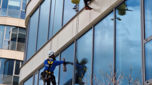  Window cleaners in safety gear working on the side of a modern building