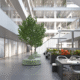 Open office atrium with natural light, greenery, and modern design.
