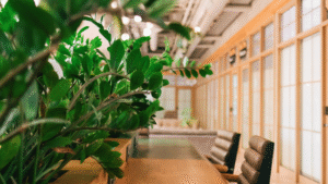 Office hallway with natural plants and wood design, neat and fresh look.