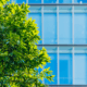 Clean office windows with a view of greenery on a sunny day.