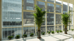 Bright modern office lobby with tall windows and indoor plants