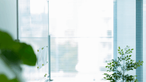Natural daylight entering a clean office through clear windows