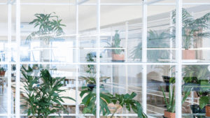 Chicago's Best Window Cleaning Company improves light in modern offices