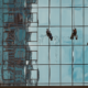 Commercial window cleaners working on large glass facade with reflections