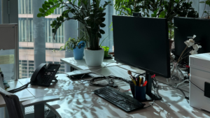 Office desk with computer, phone, and plants in natural light